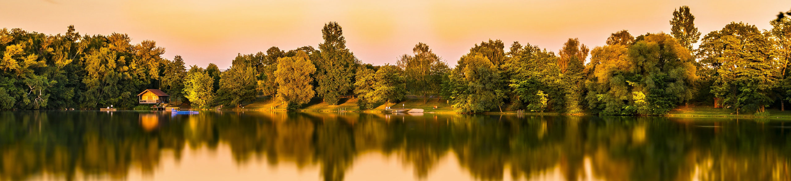 Aquatic Weed Tools and Motorized Weedsickle by DeiceAir for Pond Lake and Shoreline Care