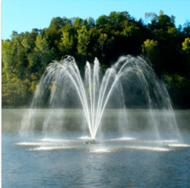 Fountain rental