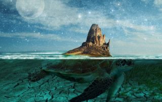 national indigenous day