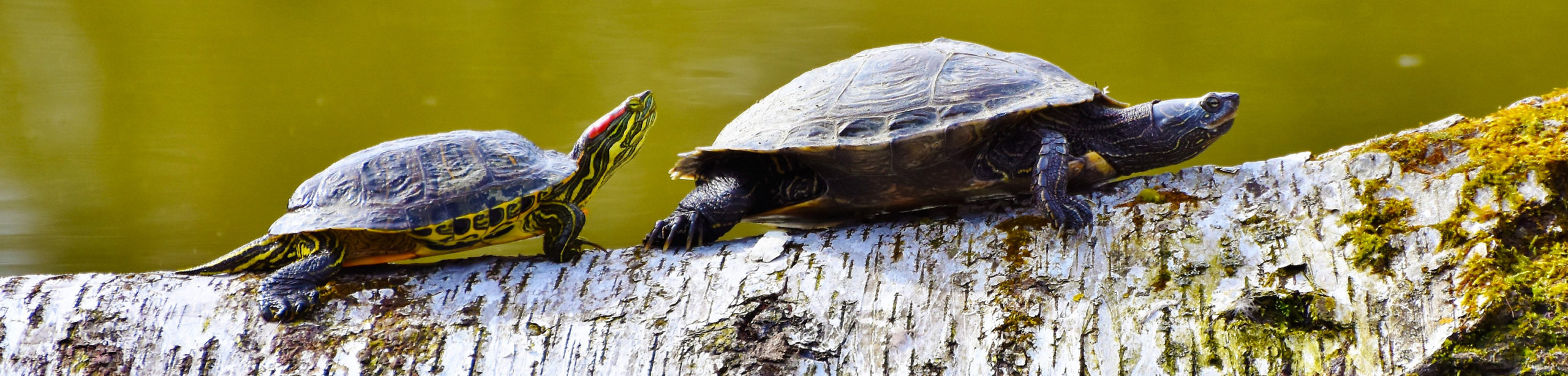 Deiceair Wastewater Management and Reclamation