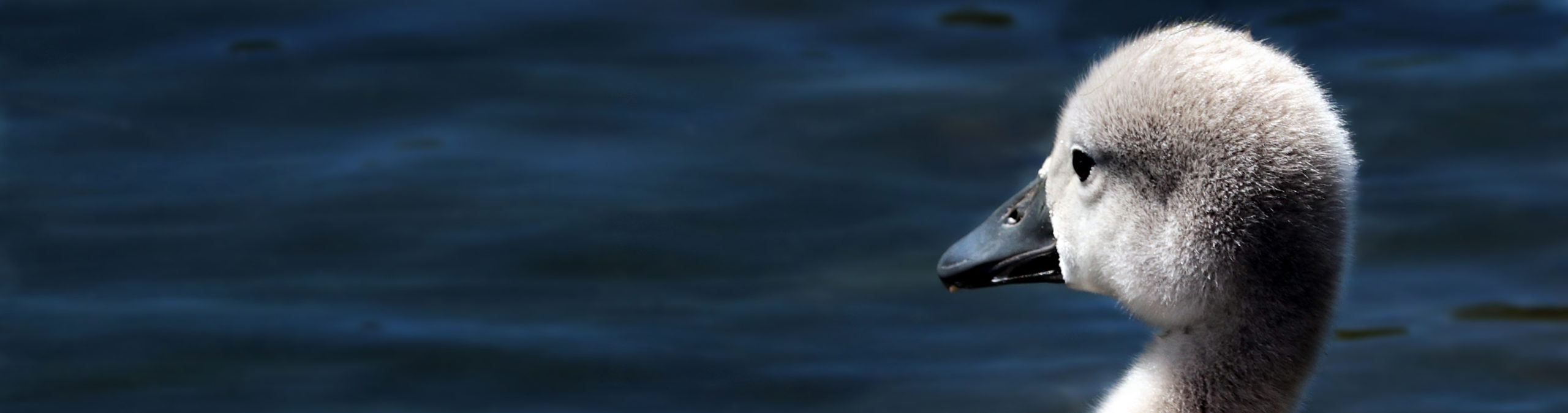 Bubble Tubing Linear Diffuser made in Canada available at DeiceAir