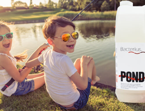 Keep your Pond looking its best this year with Bacterius® pond Conditioners