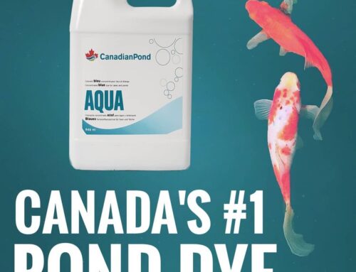 Spring Means It’s Time For Pond Dye