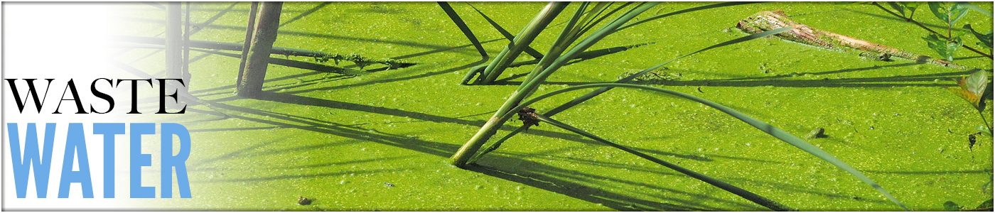 Front Page Button - Large Ponds Deice Ponds Ontario Backyard Ponds Waste Water