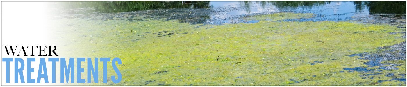 Front Page Button - Large Ponds Deice Ponds Ontario Backyard Ponds Water treatment green algae ponds