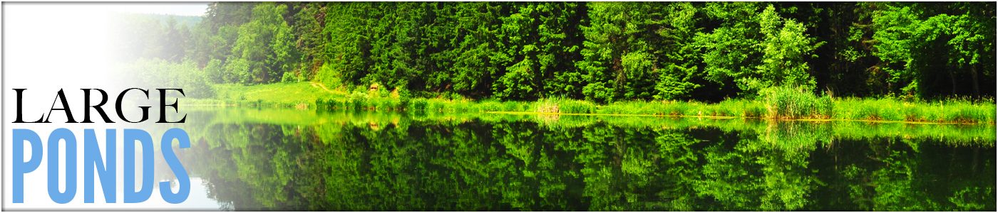 Front Page Button - Large Ponds Deice Ponds Ontario Backyard Ponds