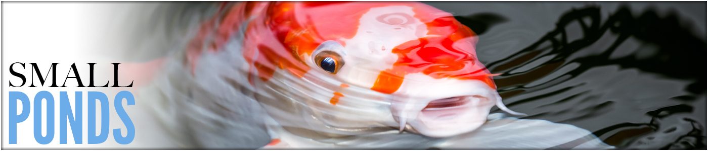 Front Page Button - Small Ponds Deice Ponds Ontario Backyard Ponds